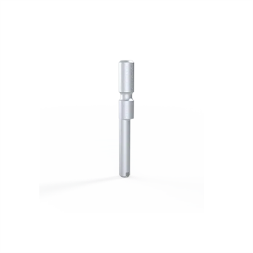 Picture of Door Hinge Pin